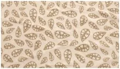 Robens Klondike Twin Fleece Carpet Sand-Green